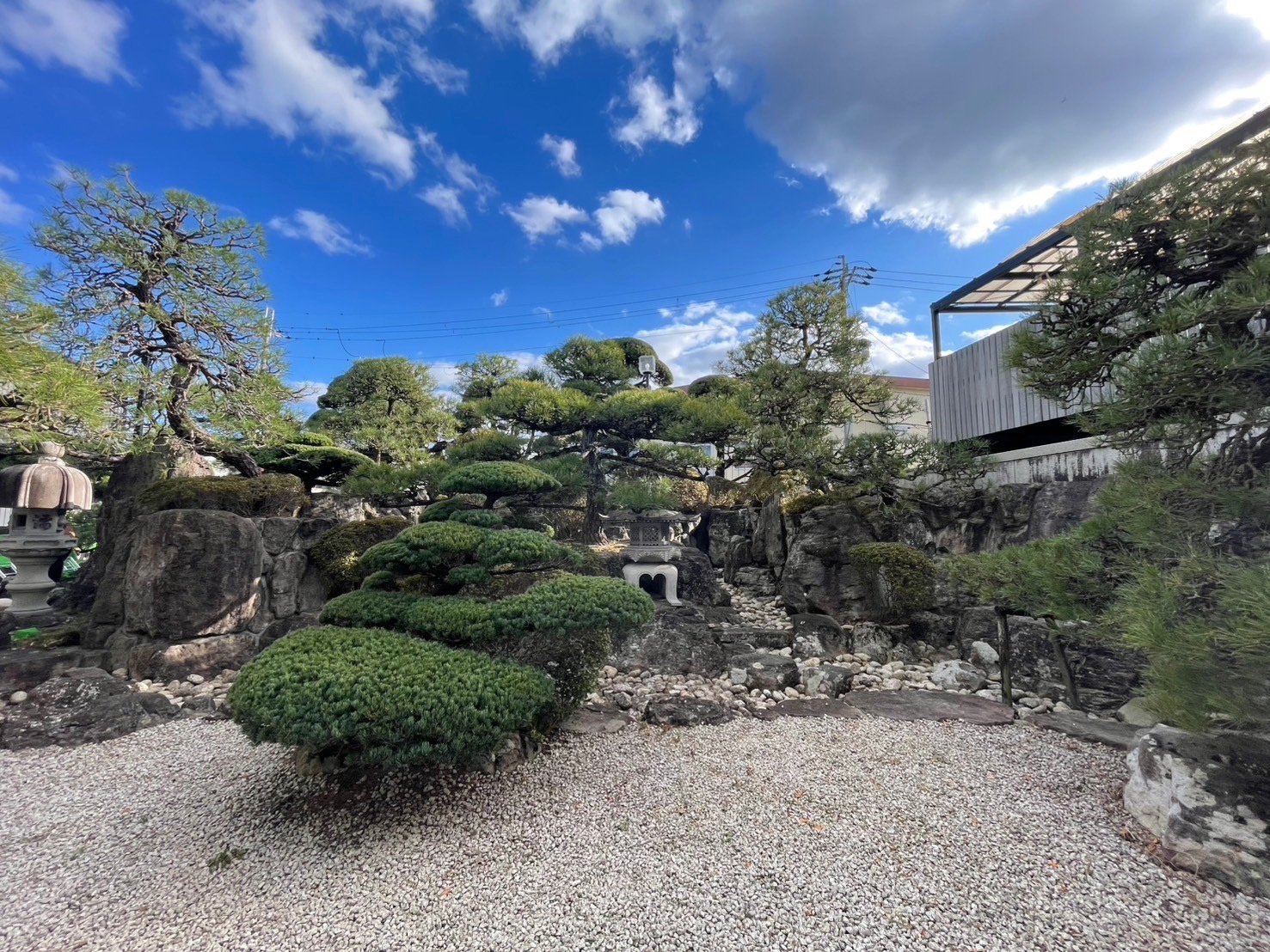 伊丹市内・個人邸剪定 | 株式会社松盛園