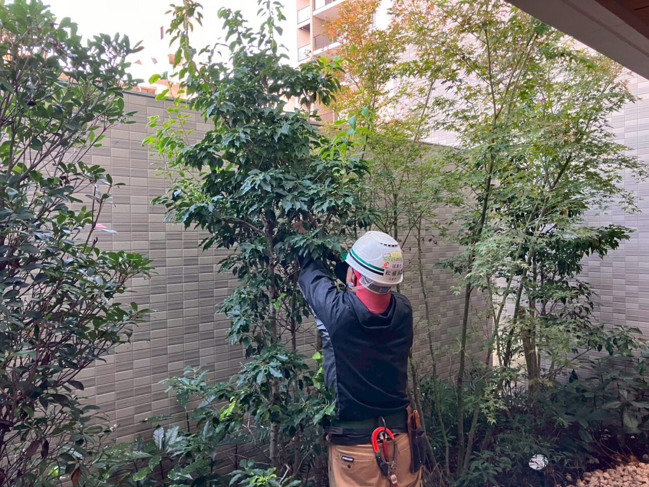 マンション共用部で植栽管理を行う作業スタッフの様子（豊中市）