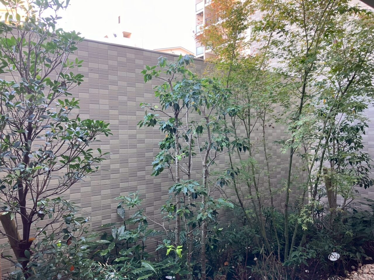 豊中市のマンション植栽管理で整えられた樹木と建物外観