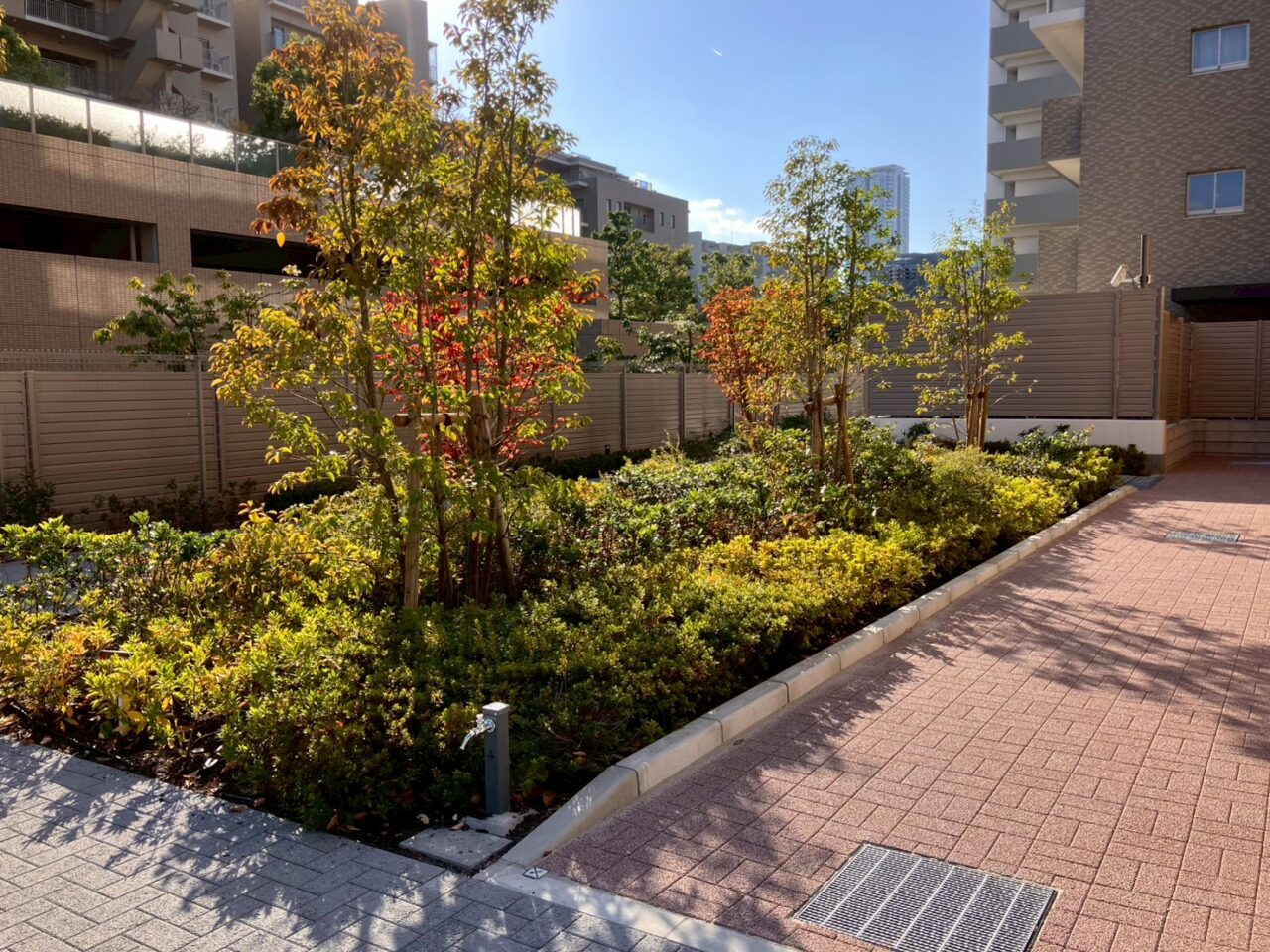 豊中市マンションの植栽帯で剪定された後の美しい植栽エリア