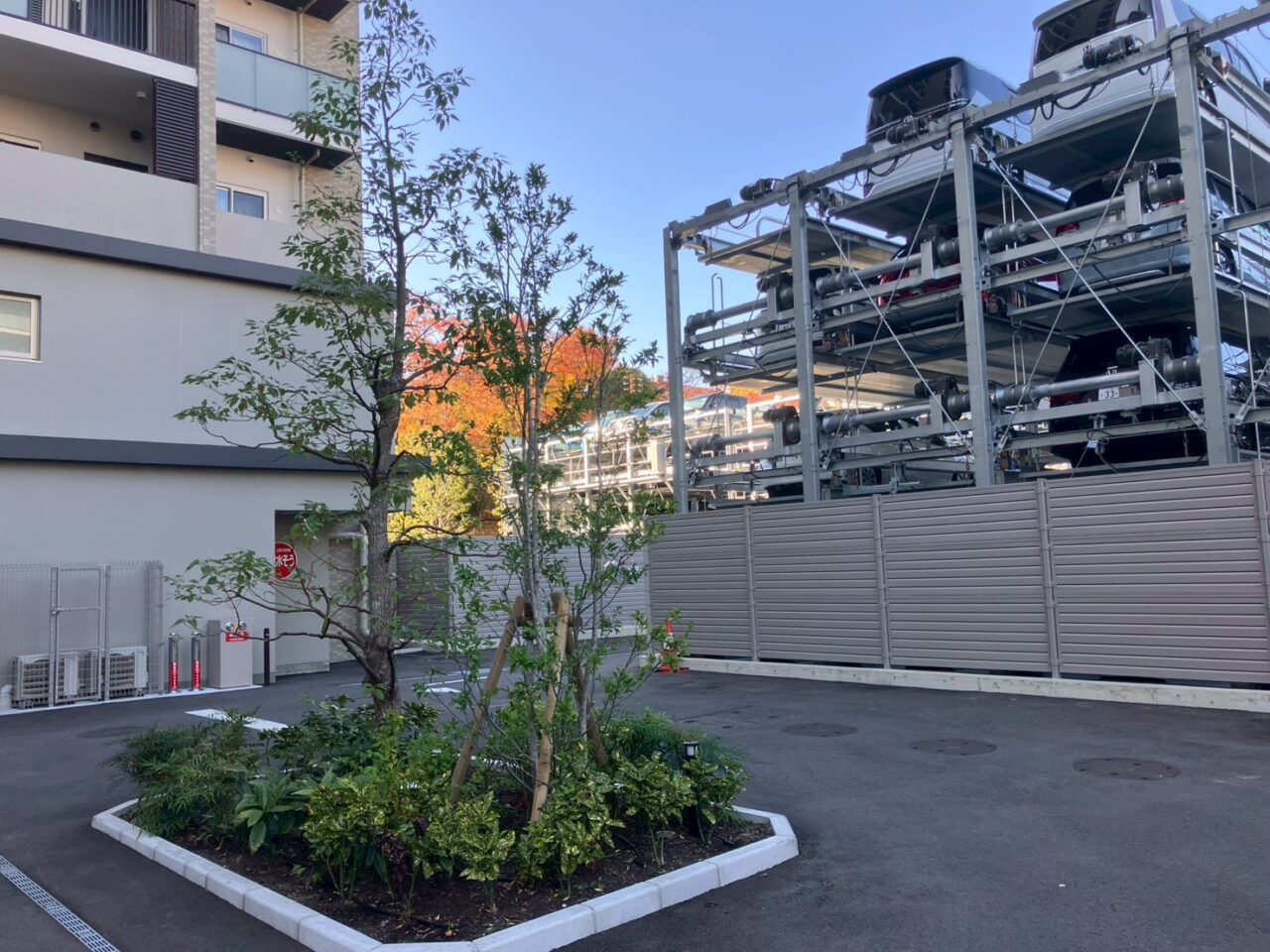 豊中市のマンション敷地内で管理されるシンボルツリーの植栽